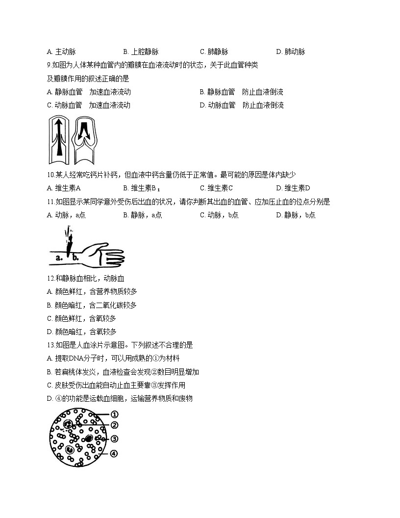 山东省德州市乐陵市2025_2026学年八年级上学期期中生物试题（文字版，含答案）第2页