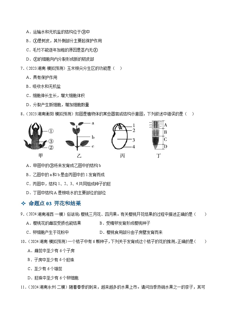 第05讲 被子植物的一生（3大命题点分层精练）（原卷版）第3页