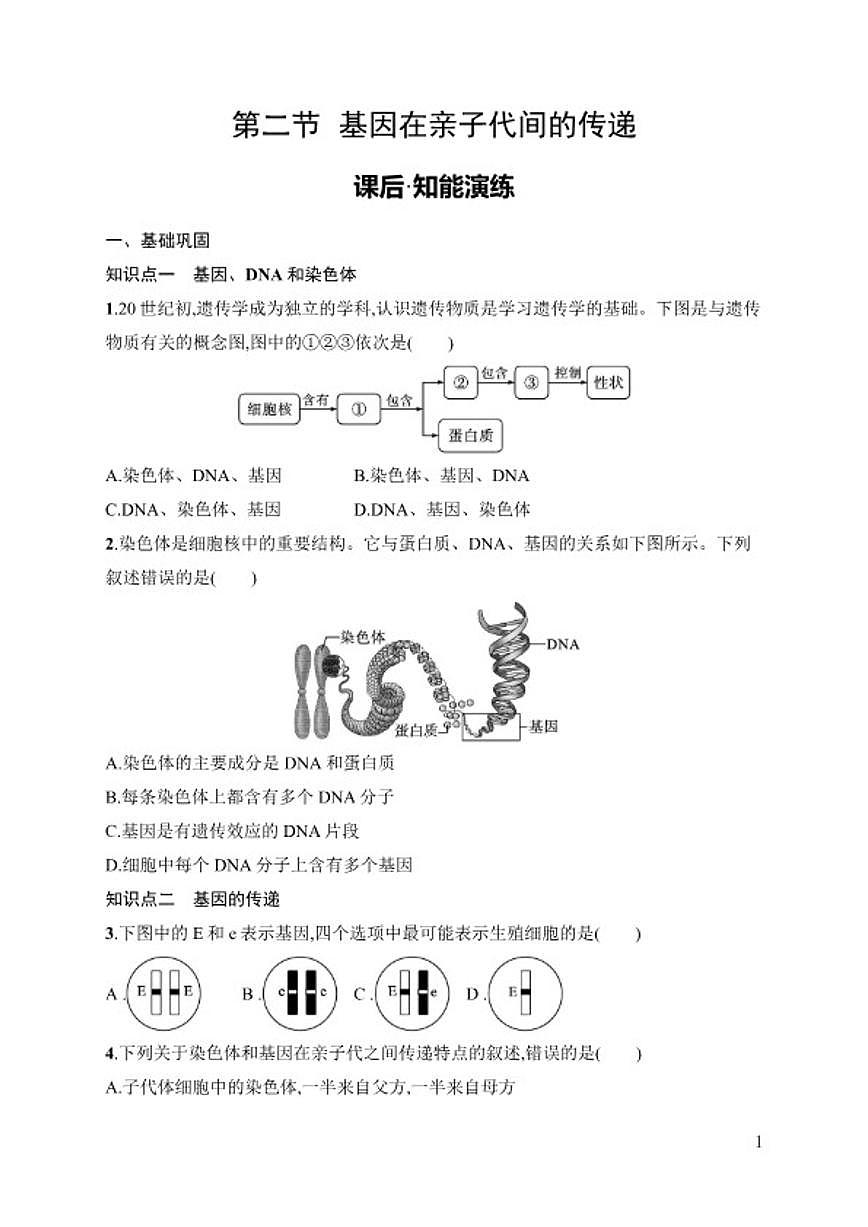 2025-2026学年6.2.2　基因在亲子代间的传递 同步练习 生物学人教版八年级下册（含答案）第1页
