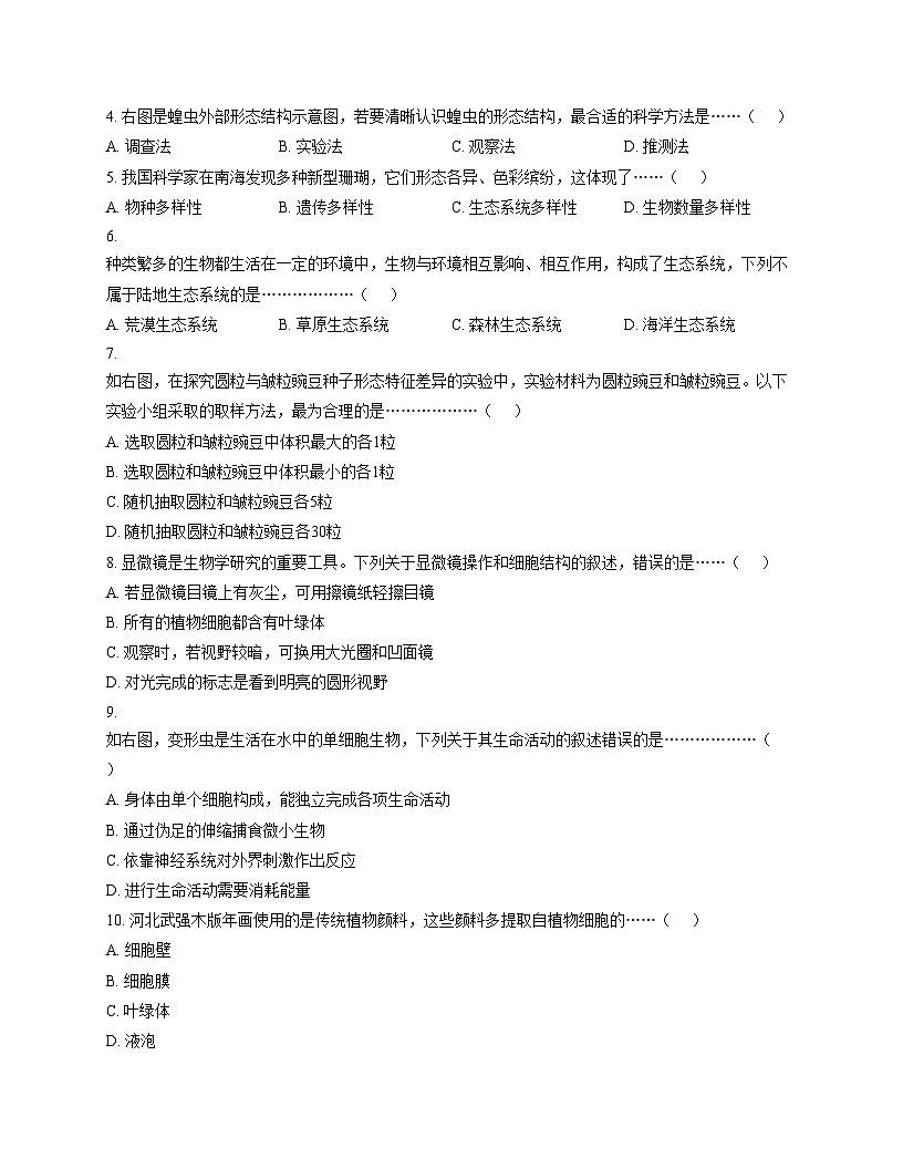 河北省廊坊市安次区2025_2026学年七年级上学期11月期中生物试题(文字版，含答案）第2页