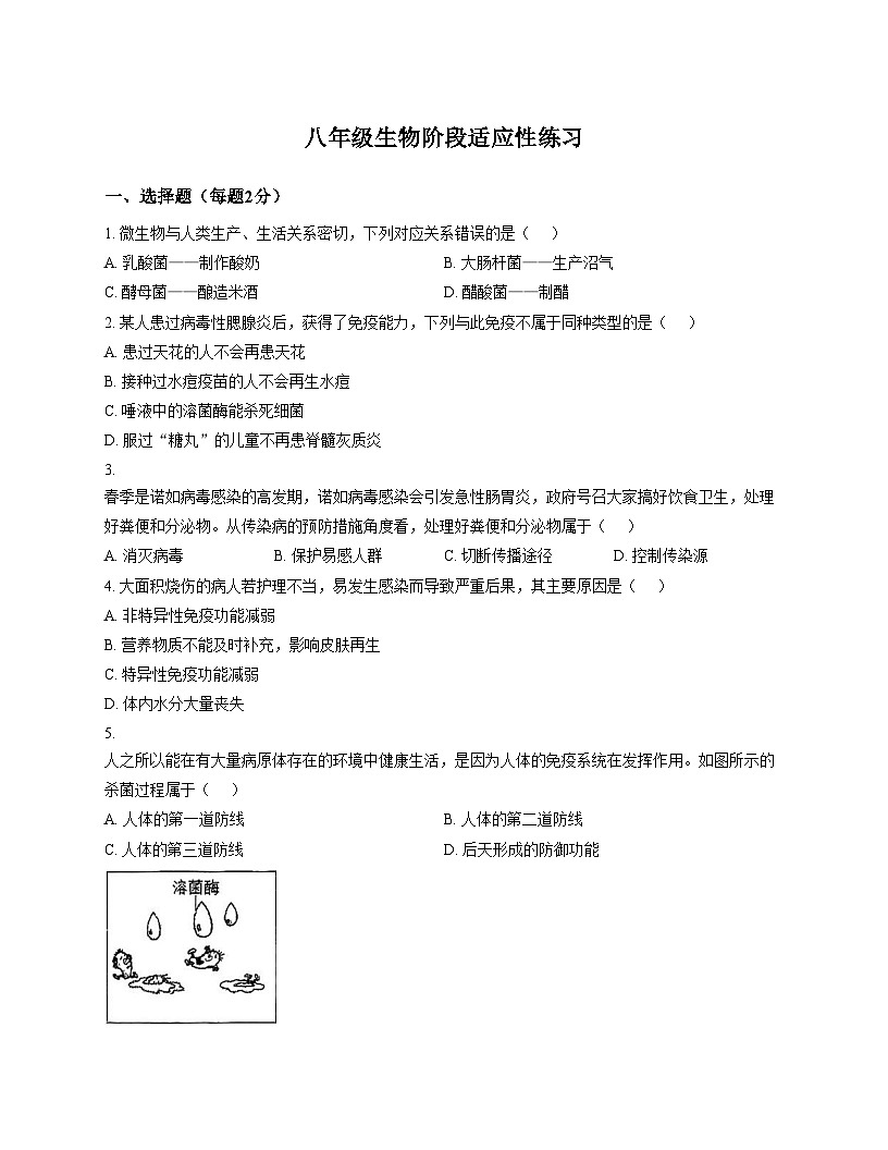 安徽省宿州市埇桥区2025_2026学年八年级上学期11月期中生物试题（文字版，含答案）第1页