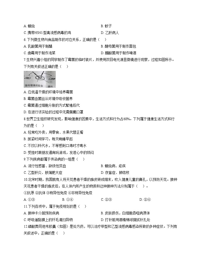 河北省邯郸市肥乡区2025_2026学年八年级上学期11月期中生物试题 （文字版，含答案）第2页