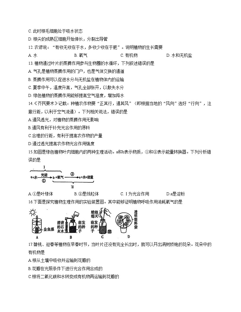河北省石家庄市第九中学2025_2026学年八年级上学期11月期中生物试题（文字版，含答案）第3页