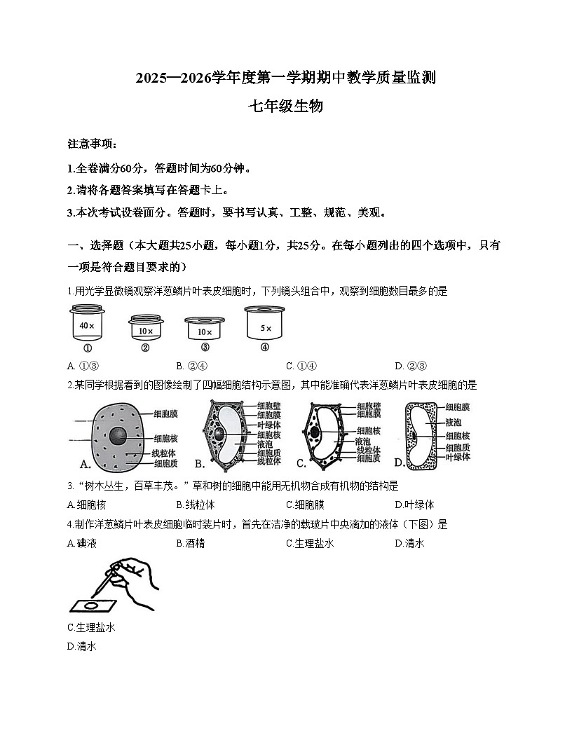 河北省保定市高碑店市2025_2026学年七年级上学期11月期中生物试题（文字版，含答案）第1页