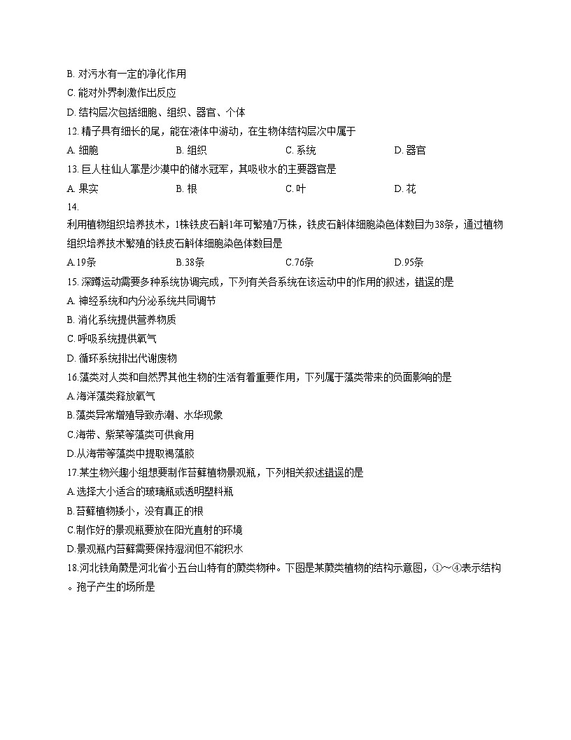 河北省保定市高碑店市2025_2026学年七年级上学期11月期中生物试题（文字版，含答案）第3页