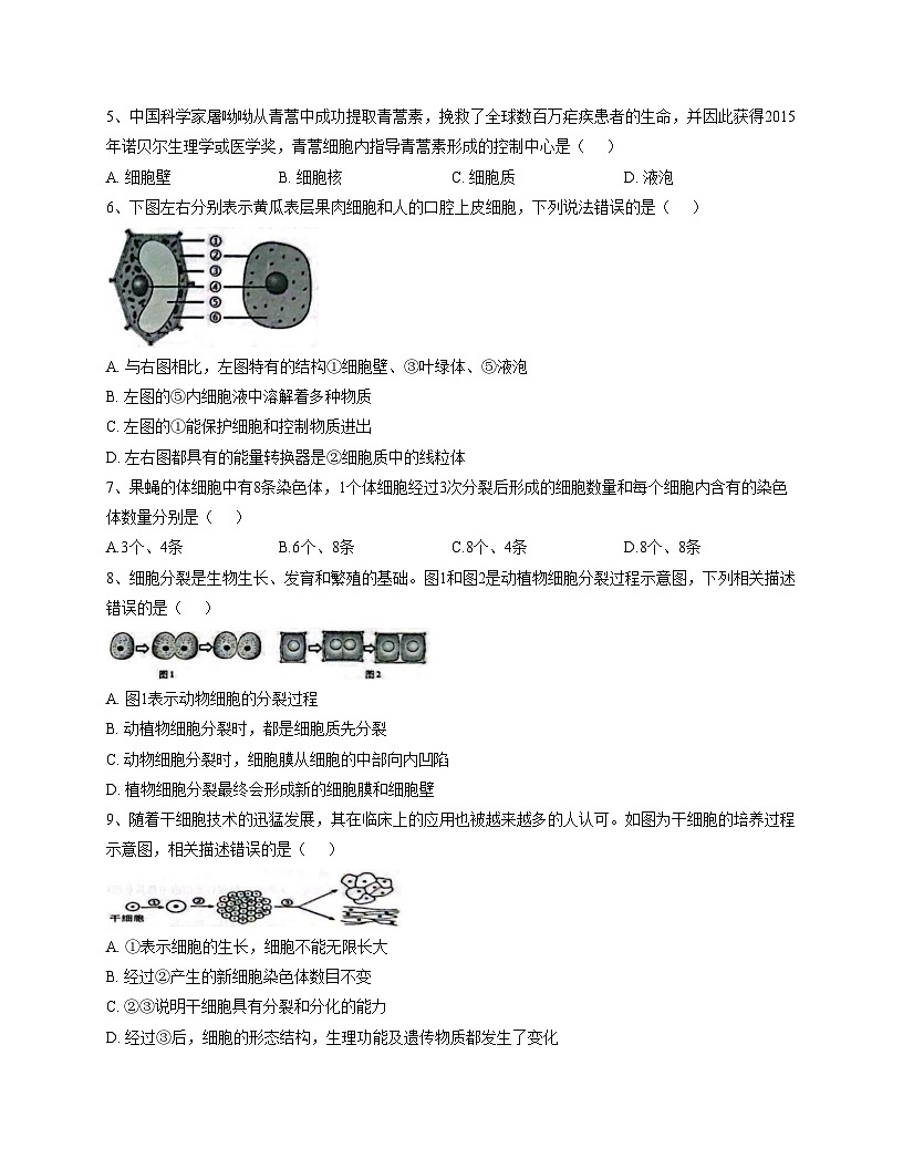 山东省聊城市教育联盟共同体2025_2026学年七年级上学期11月期中生物试题（文字版，含答案）第2页