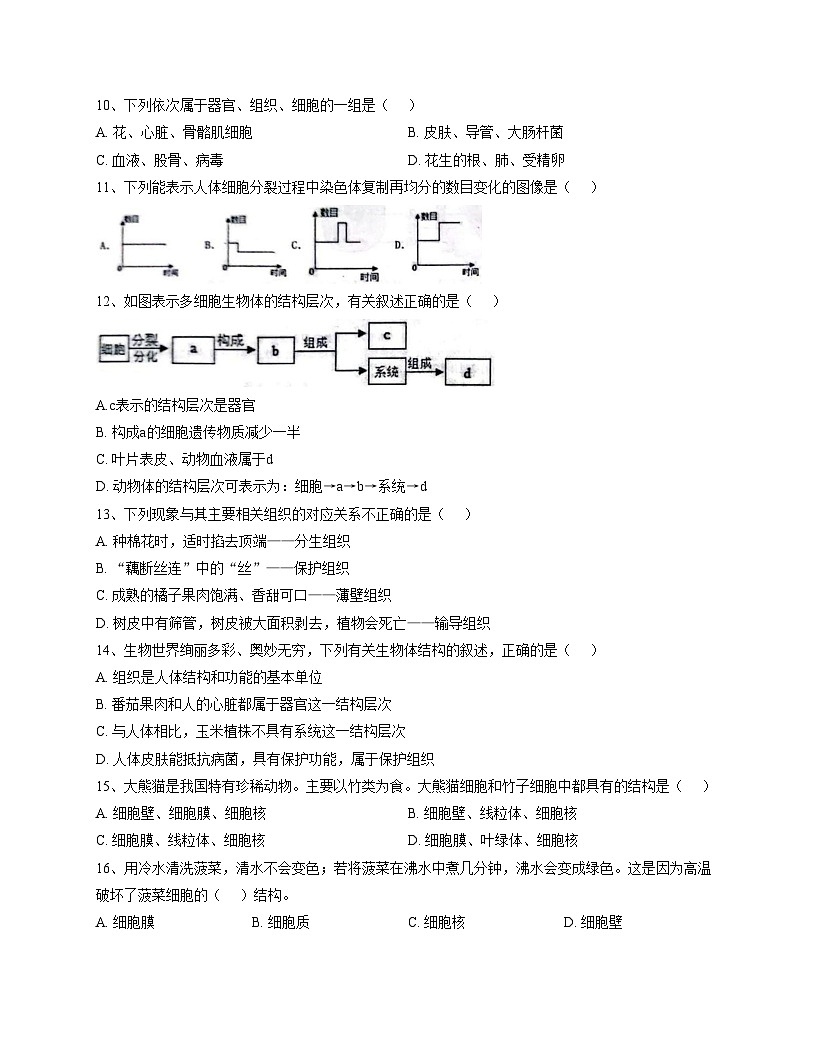 山东省聊城市教育联盟共同体2025_2026学年七年级上学期11月期中生物试题（文字版，含答案）第3页