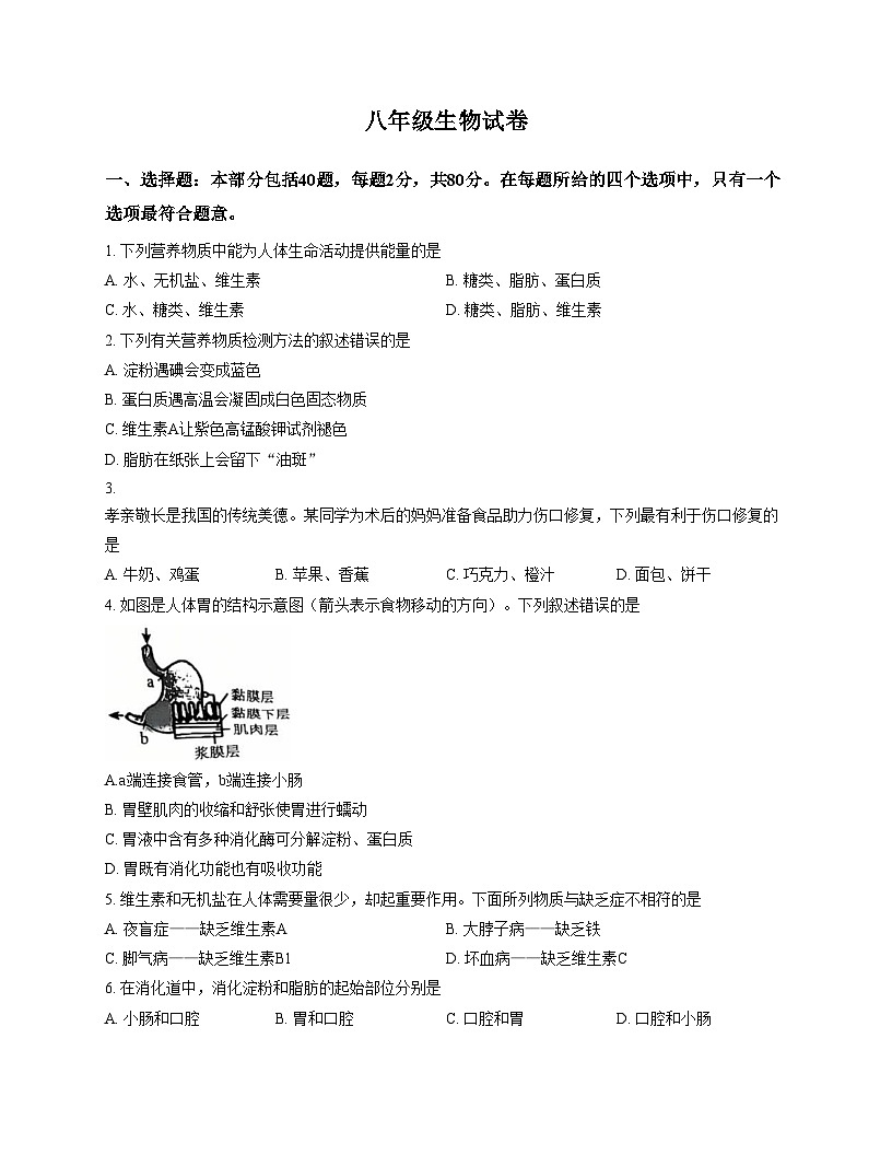 江苏省宿迁市泗洪县2025_2026学年八年级上学期期中考试生物试卷（文字版，含答案）第1页