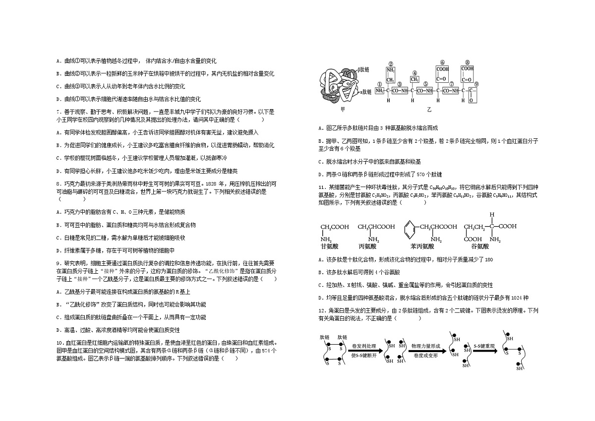 江西省宜春市丰城市第九中学2025-2026学年九年级上学期期中检测生物试题（无答案）第2页