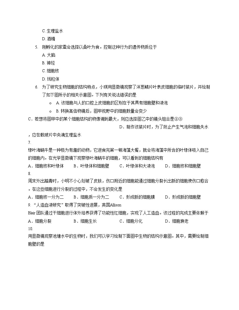 河南省周口市西华县2025_2026学年七年级上学期期中考试生物试卷（文字版，含答案）第2页