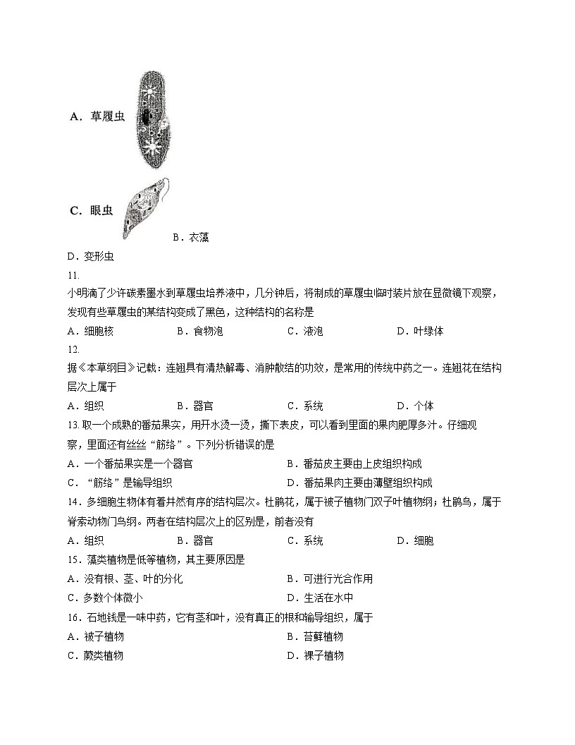 河南省周口市西华县2025_2026学年七年级上学期期中考试生物试卷（文字版，含答案）第3页