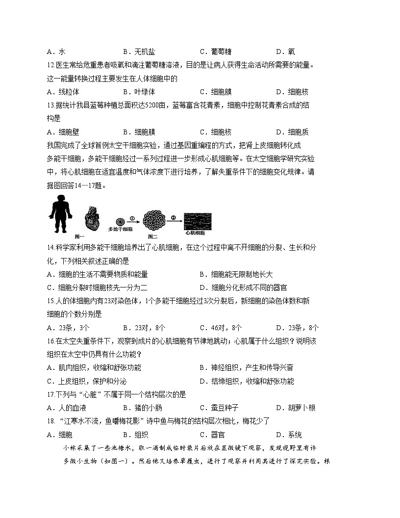 山东省临沂市沂南县2025_2026学年七年级上学期期中考试生物试题（文字版，含答案）第3页