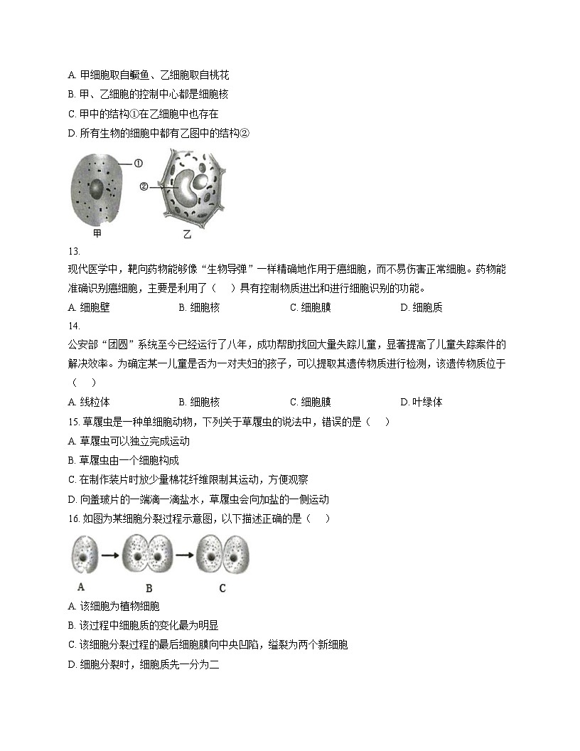 安徽省宿州市泗县2025_2026学年七年级上学期11月期中生物试题（文字版，含答案）第3页