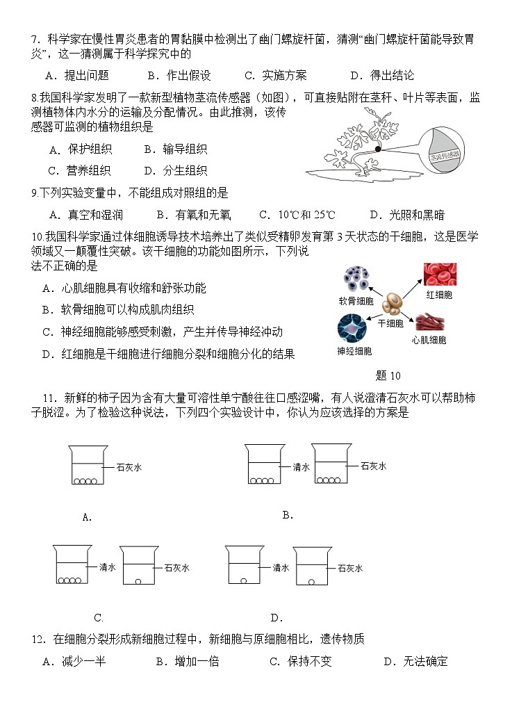 广东省惠州市博罗县2025-2026学年七年级上学期期中考试生物试卷第2页