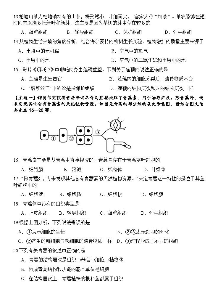 广东省惠州市博罗县2025-2026学年七年级上学期期中考试生物试卷第3页