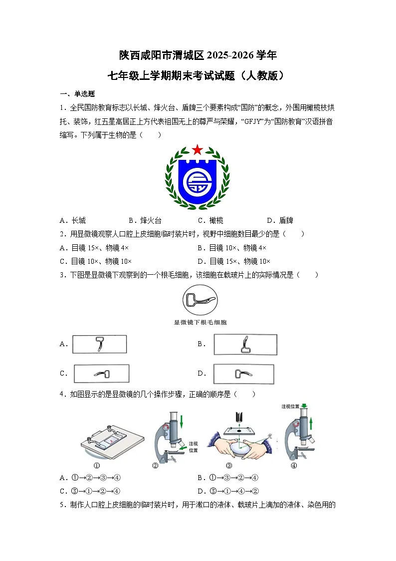 2025-2026学年陕西咸阳市渭城区七年级上学期期末考试（人教版）生物试卷（学生版）第1页