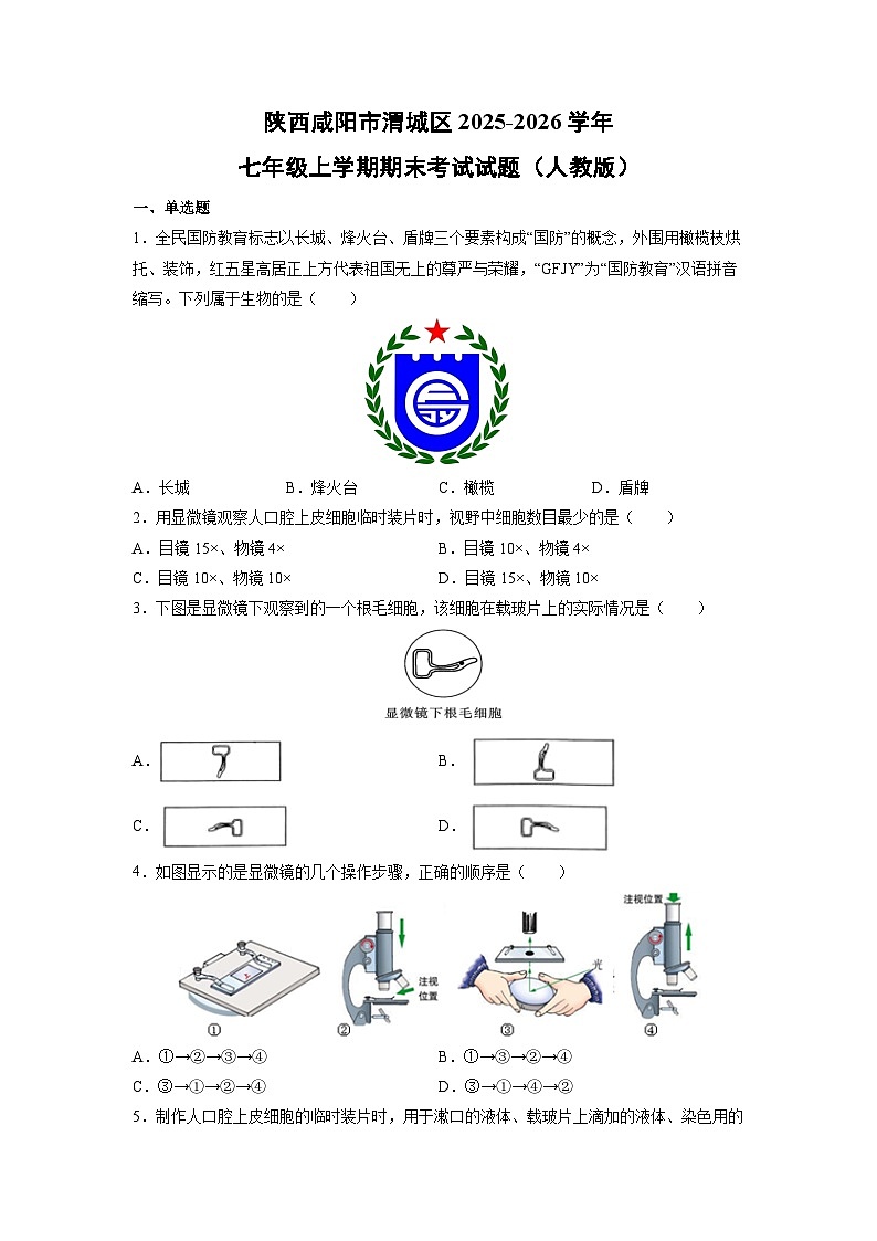 2025-2026学年陕西咸阳市渭城区七年级上学期期末考试（人教版）生物试卷（学生版）第1页