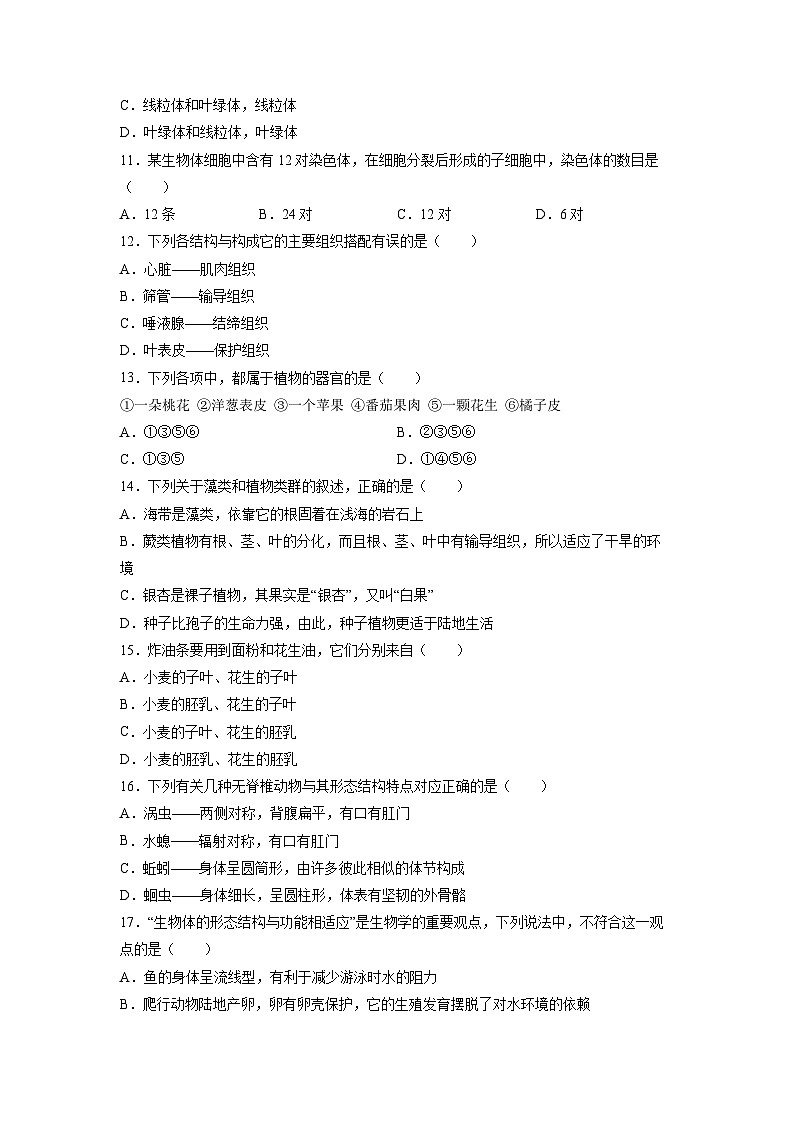 2025-2026学年陕西咸阳市渭城区七年级上学期期末考试（人教版）生物试卷（学生版）第3页