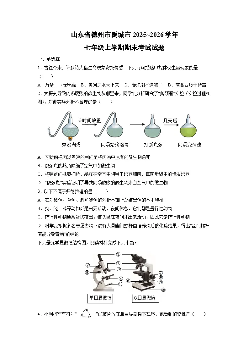 2025~2026学年山东省德州市禹城市七年级上学期期末考试 生物试卷（学生版）第1页