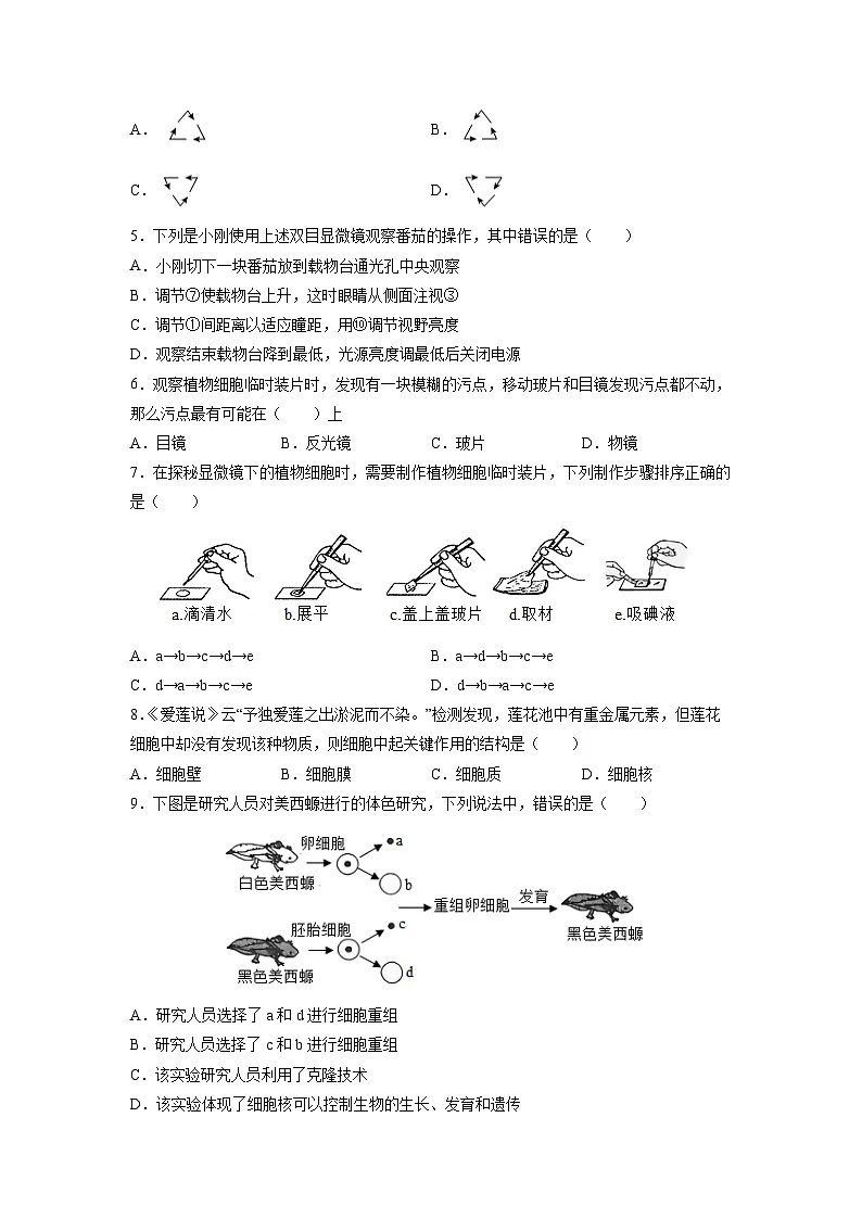 2025~2026学年山东省德州市禹城市七年级上学期期末考试 生物试卷（学生版）第2页