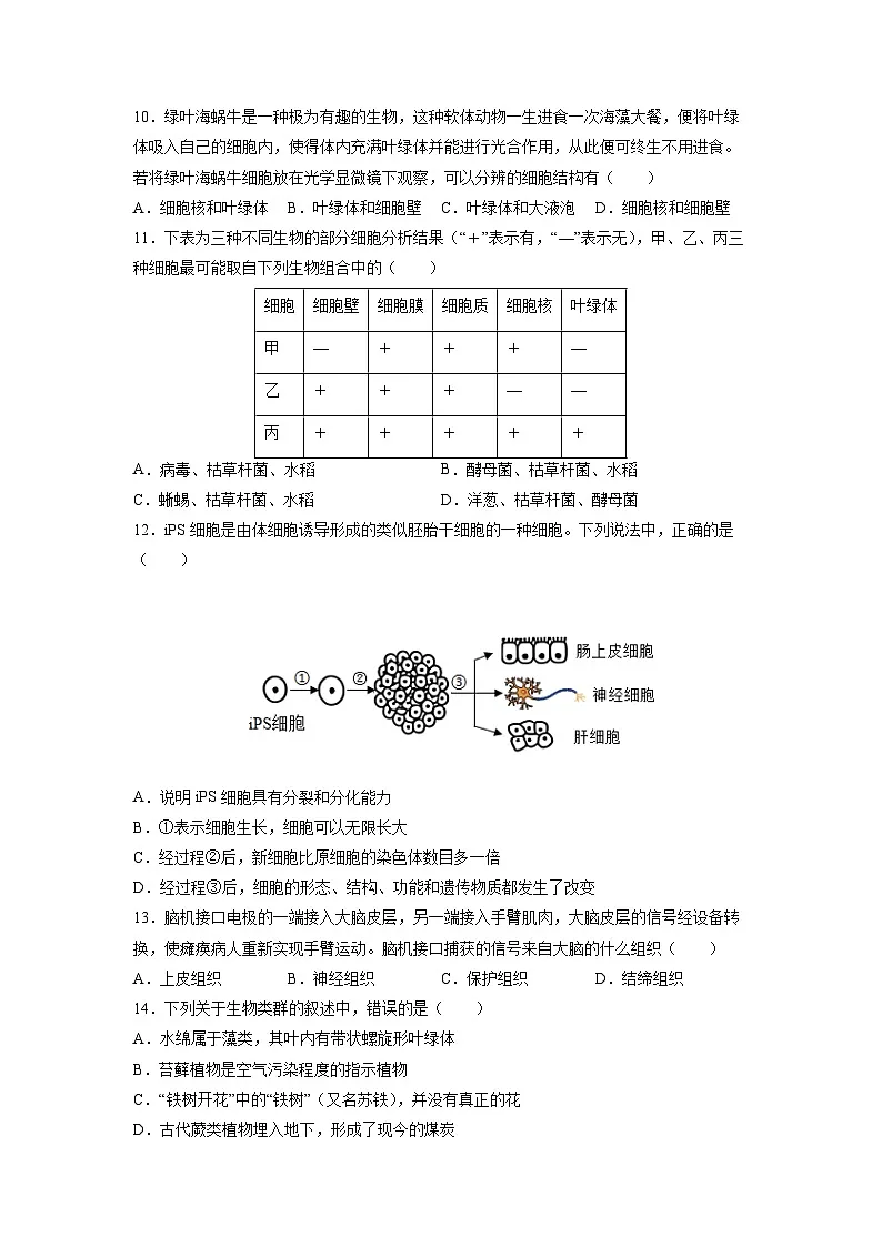 2025~2026学年山东省德州市禹城市七年级上学期期末考试 生物试卷（学生版）第3页