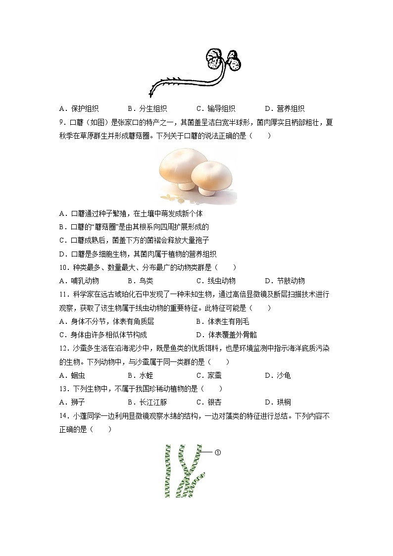 2025-2026学年河北张家口市怀安县七年级上学期期末考试生物试卷（学生版）第2页
