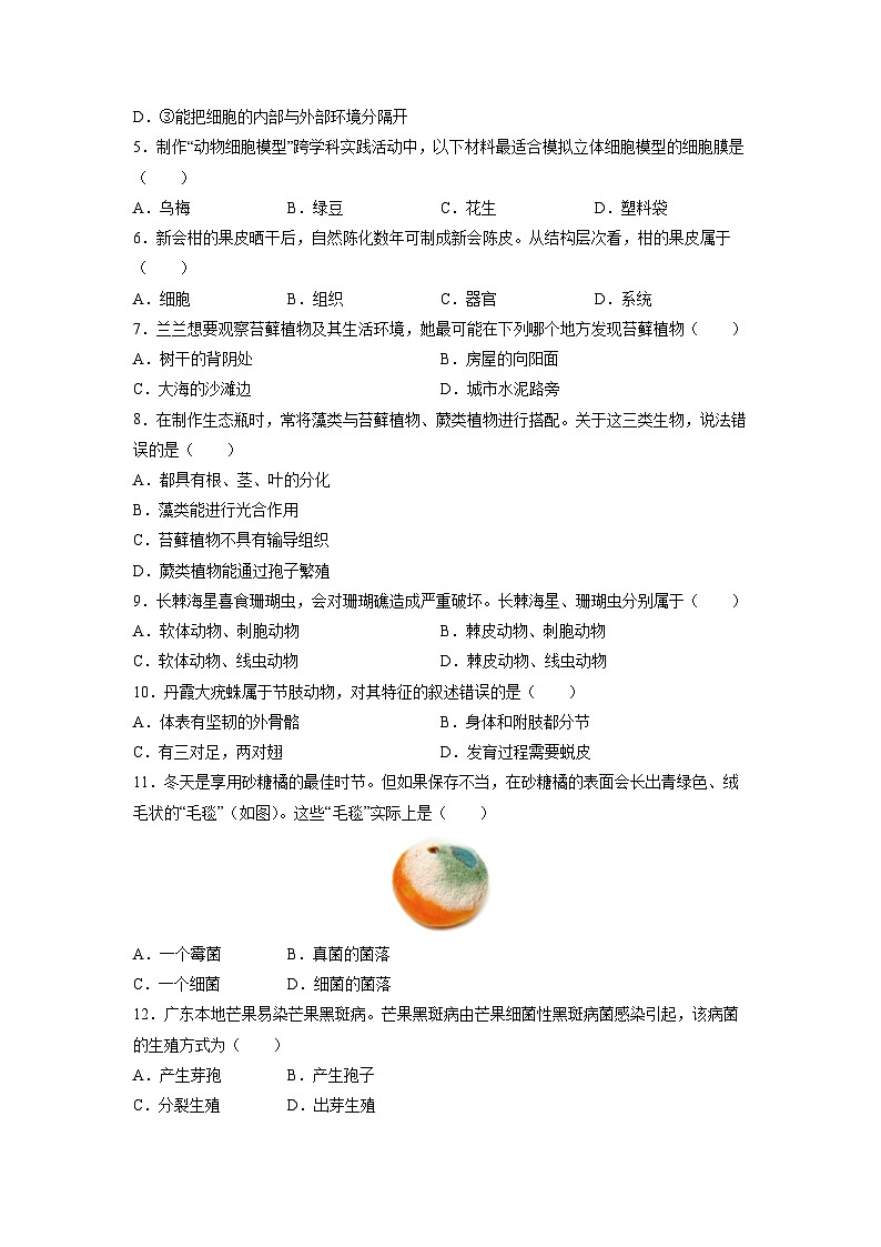 2025-2026学年广东东莞市七年级上学期期末考试生物试卷（学生版）第2页