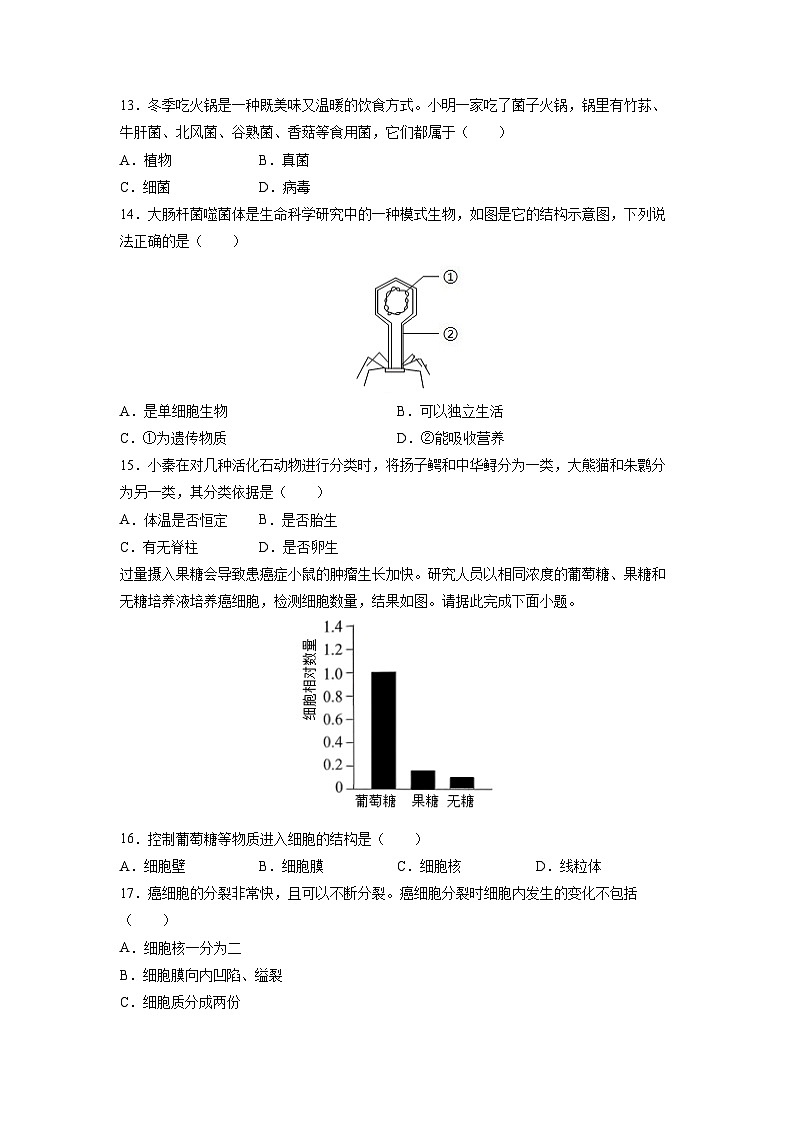 2025-2026学年广东东莞市七年级上学期期末考试生物试卷（学生版）第3页