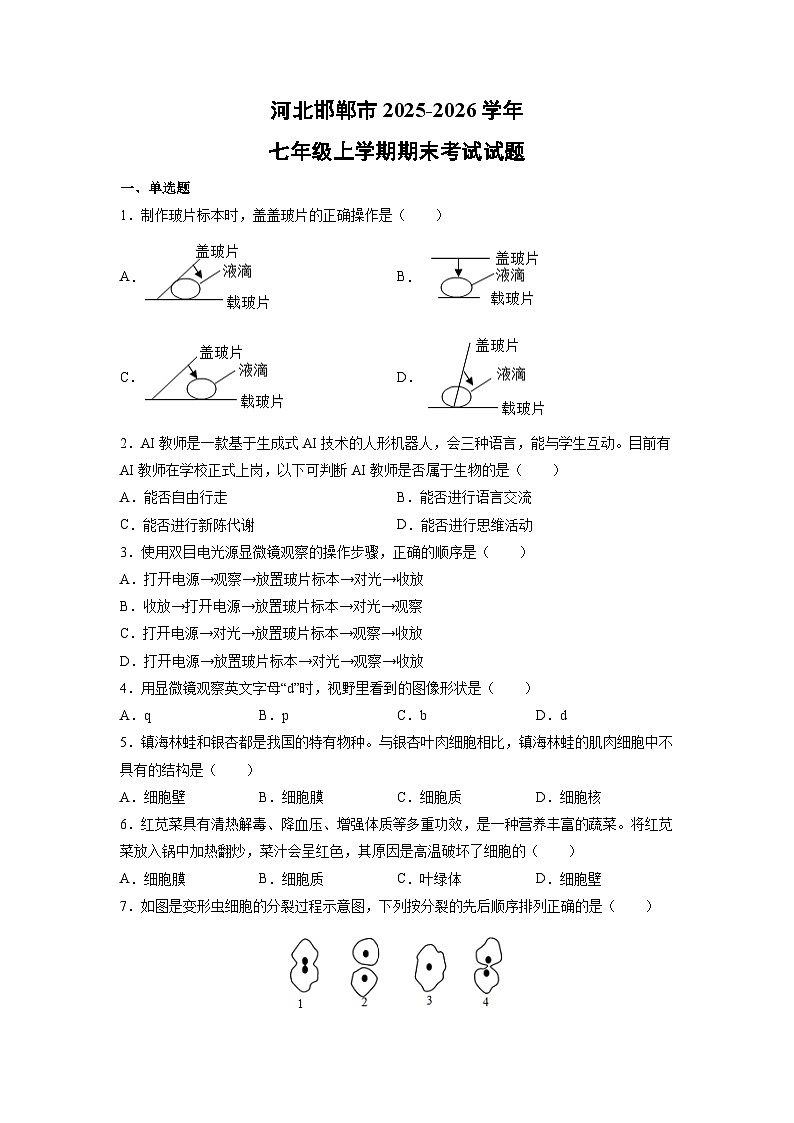 2025-2026学年河北邯郸市七年级上学期期末考试生物试卷（学生版）第1页