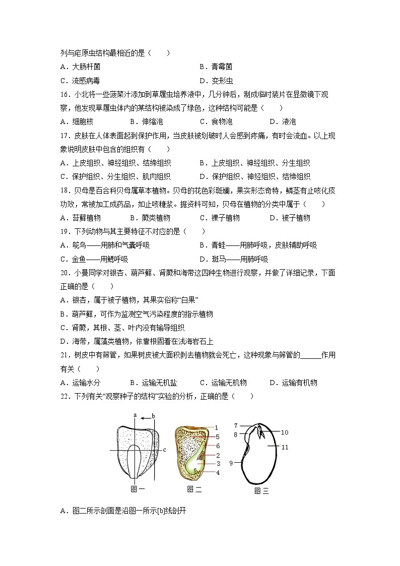 2025-2026学年河北邯郸市七年级上学期期末考试生物试卷（学生版）第3页