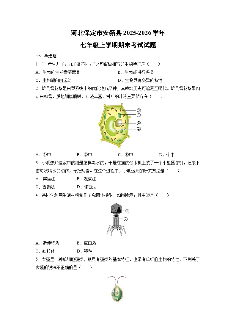 2025-2026学年河北保定市安新县七年级上学期期末考试 生物试卷（学生版）第1页