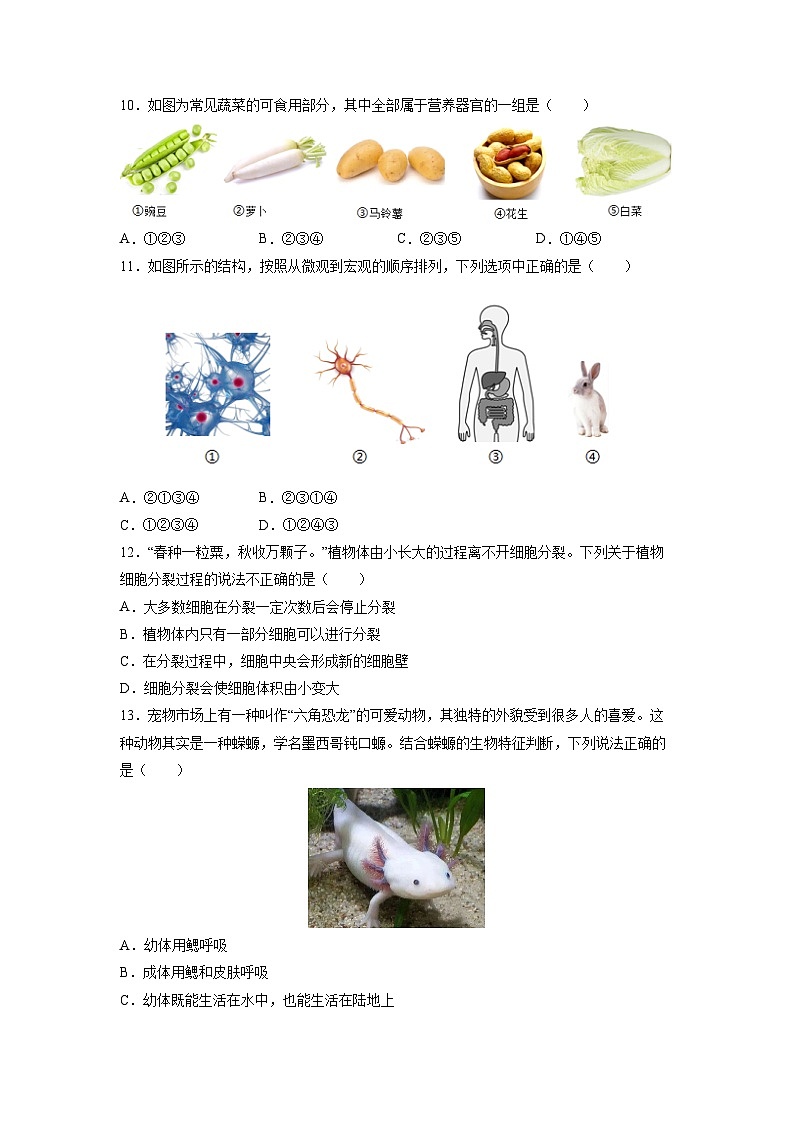 2025-2026学年河北保定市安新县七年级上学期期末考试 生物试卷（学生版）第3页