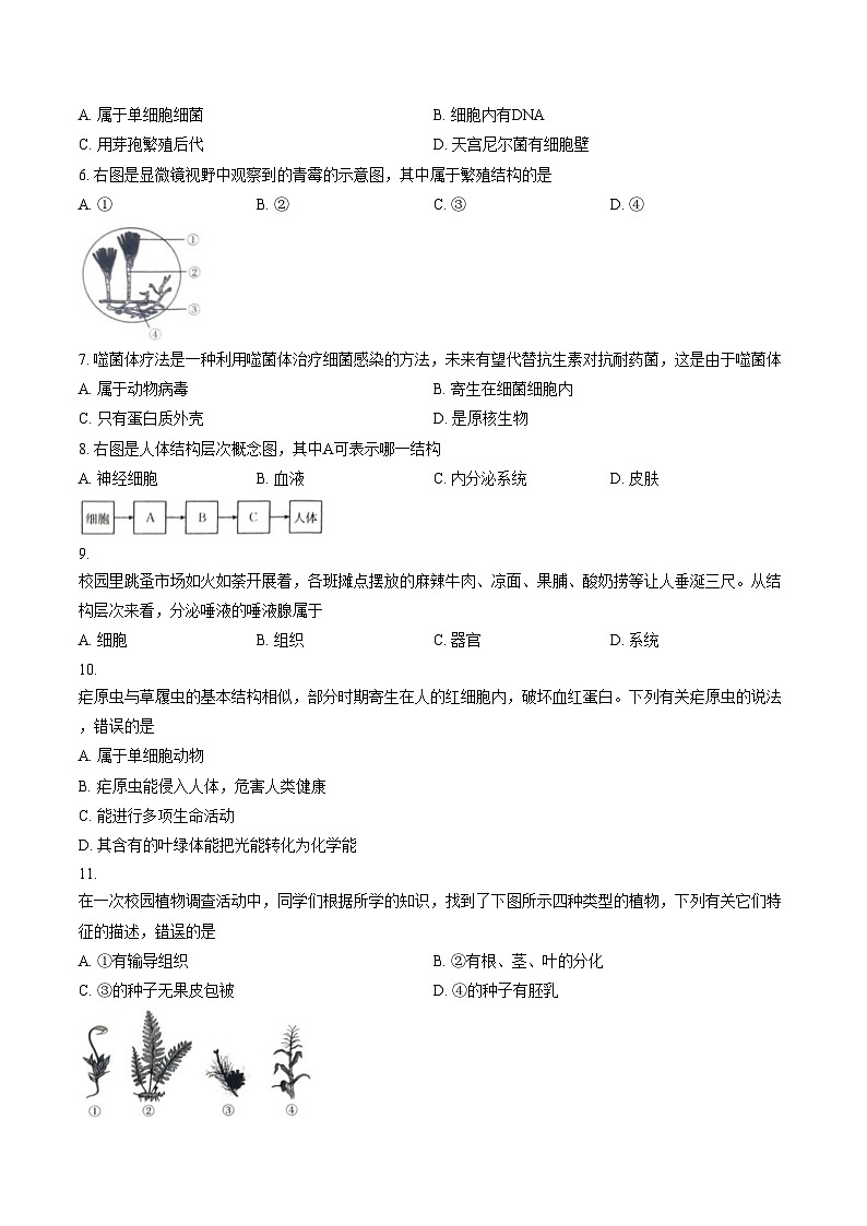 山西省朔州市部分学校2025_2026学年七年级上学期1月期末生物试题(文字版含答案)第2页