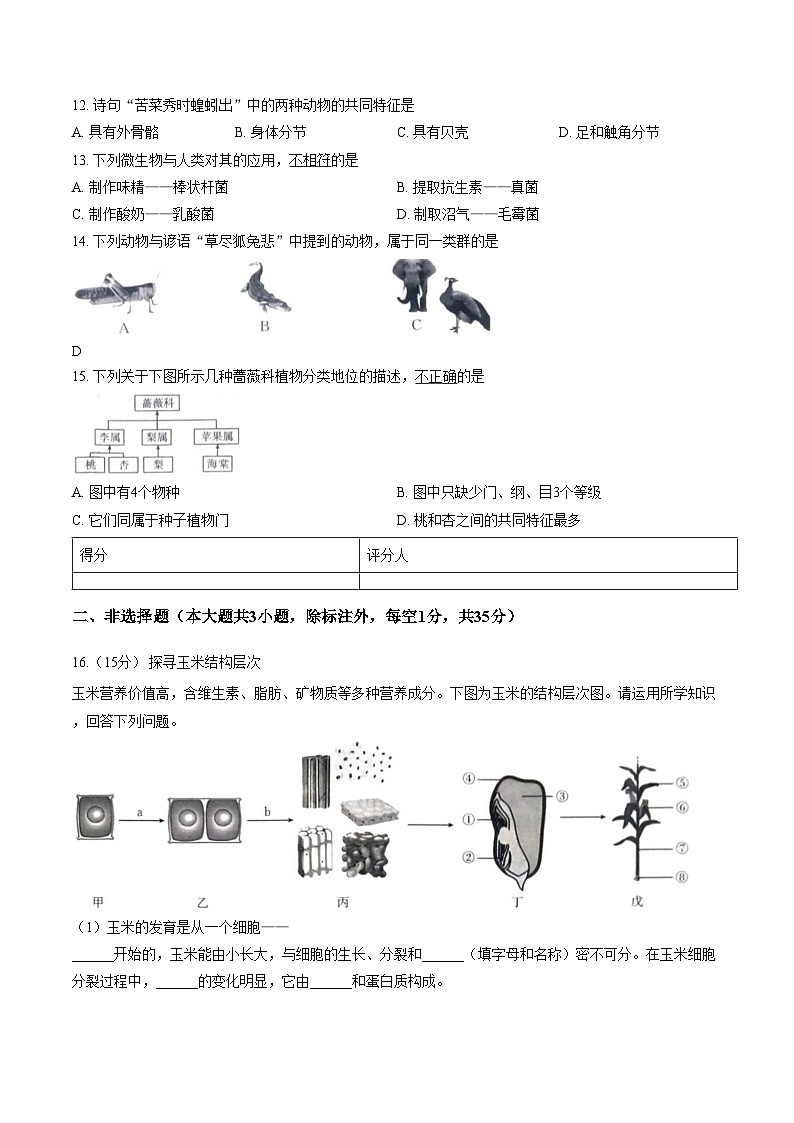 山西省朔州市部分学校2025_2026学年七年级上学期1月期末生物试题(文字版含答案)第3页
