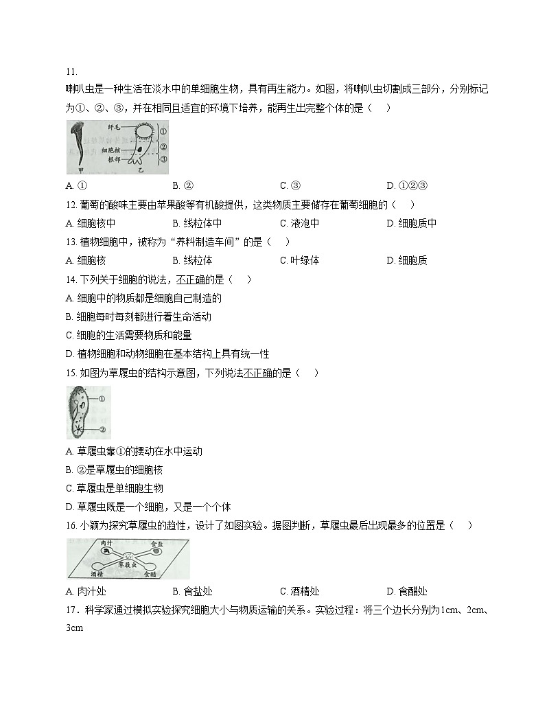 河北省衡水市2025_2026学年七年级上学期期中生物学试题(含答案)第3页