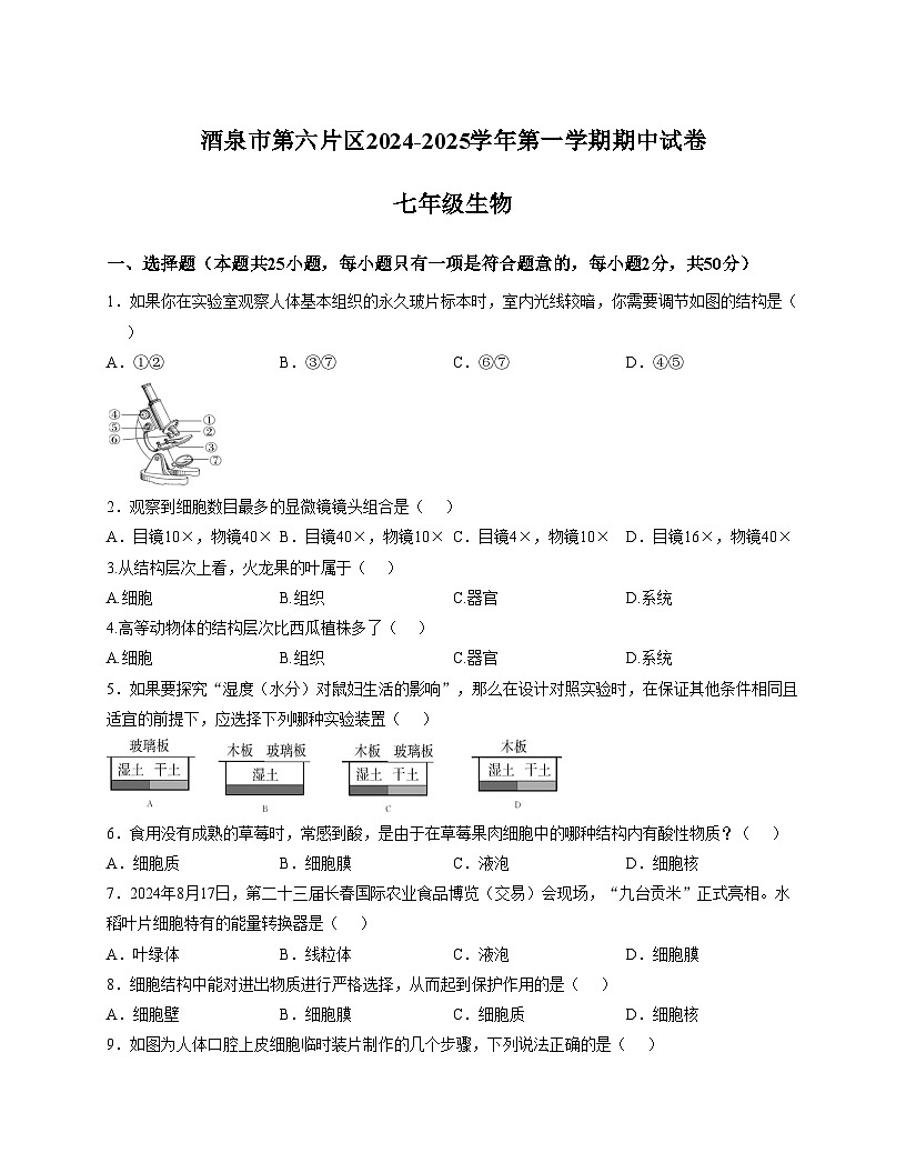 甘肃省酒泉市第六片区2024_2025学年七年级上学期期中考试生物试卷（含答案）第1页