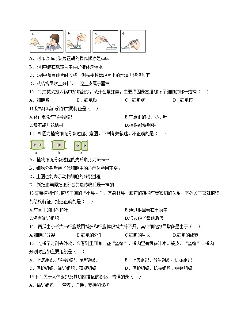 甘肃省酒泉市第六片区2024_2025学年七年级上学期期中考试生物试卷（含答案）第2页