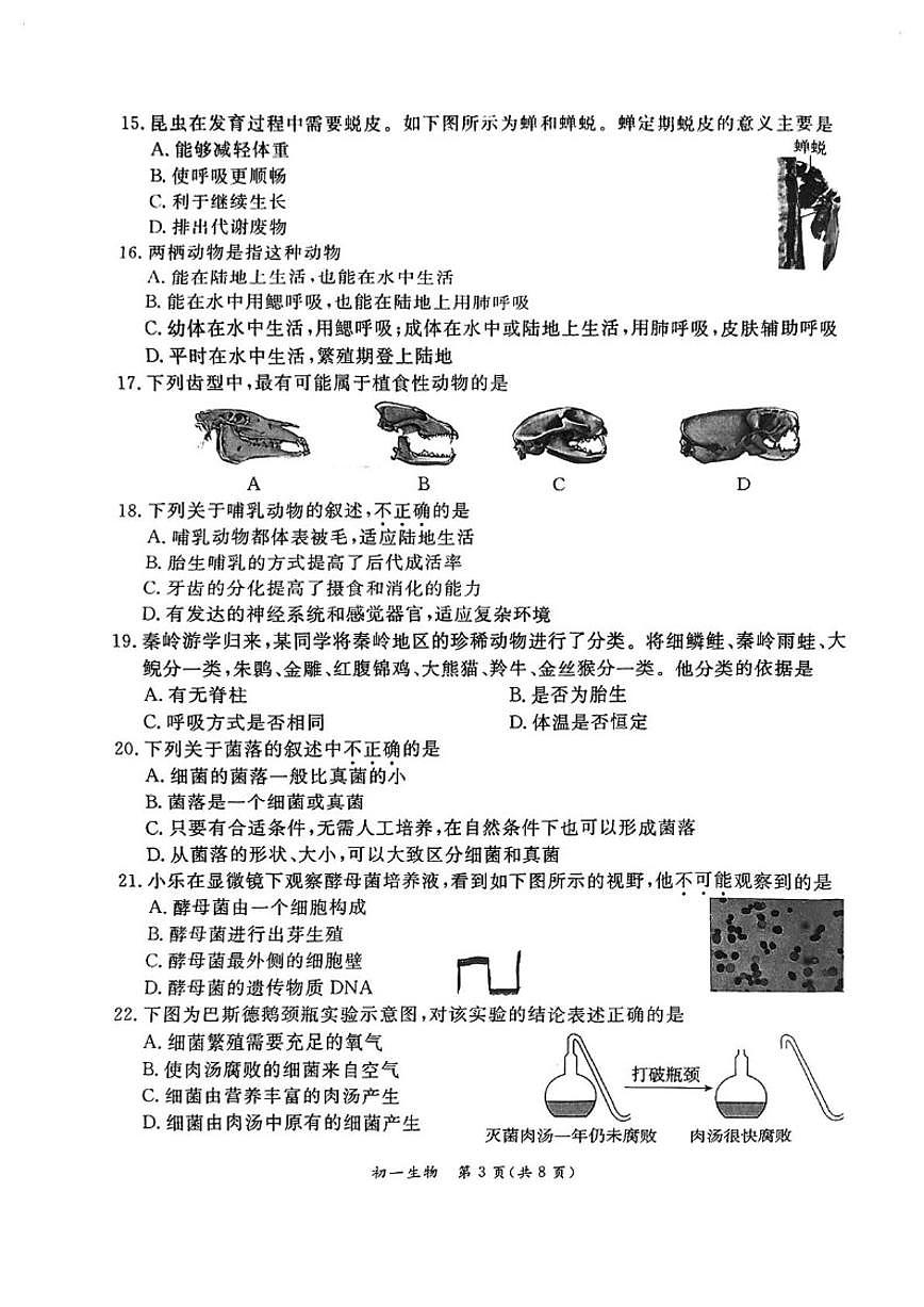 2025-2026学年北京市东城区七年级上学期期末生物（无答案）试卷第3页