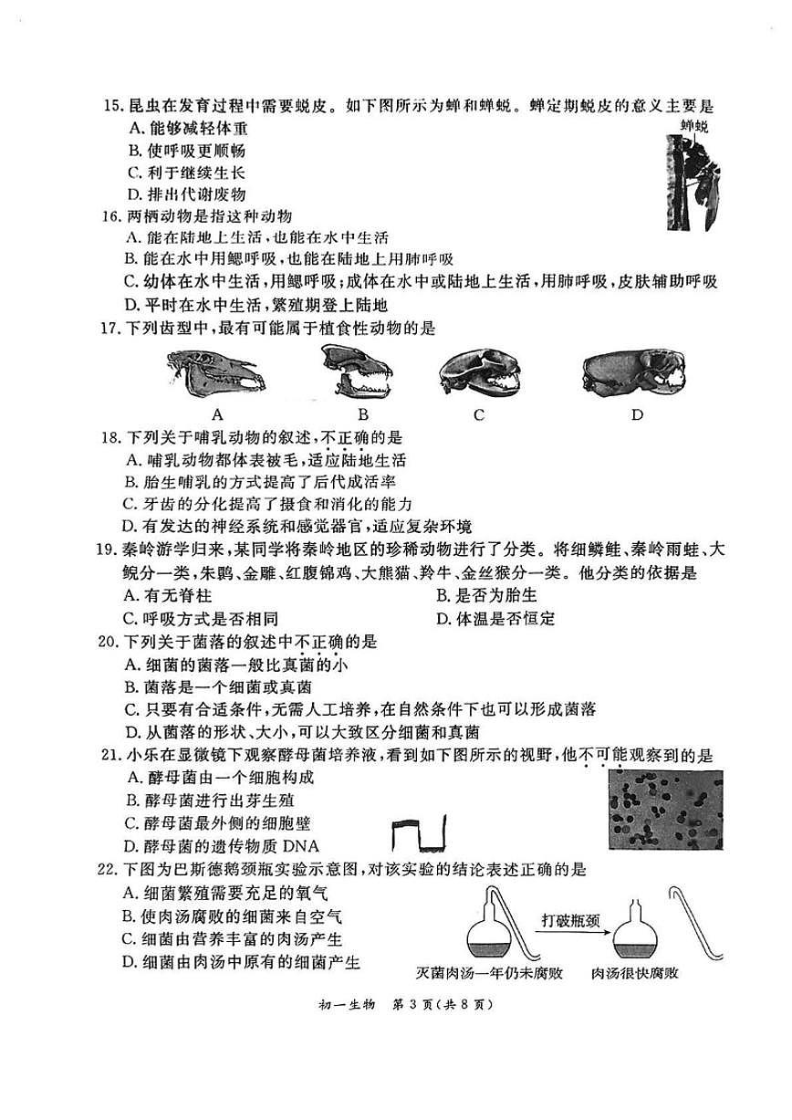 2025-2026学年北京市东城区七年级上学期期末生物_(含答案_)试卷第3页