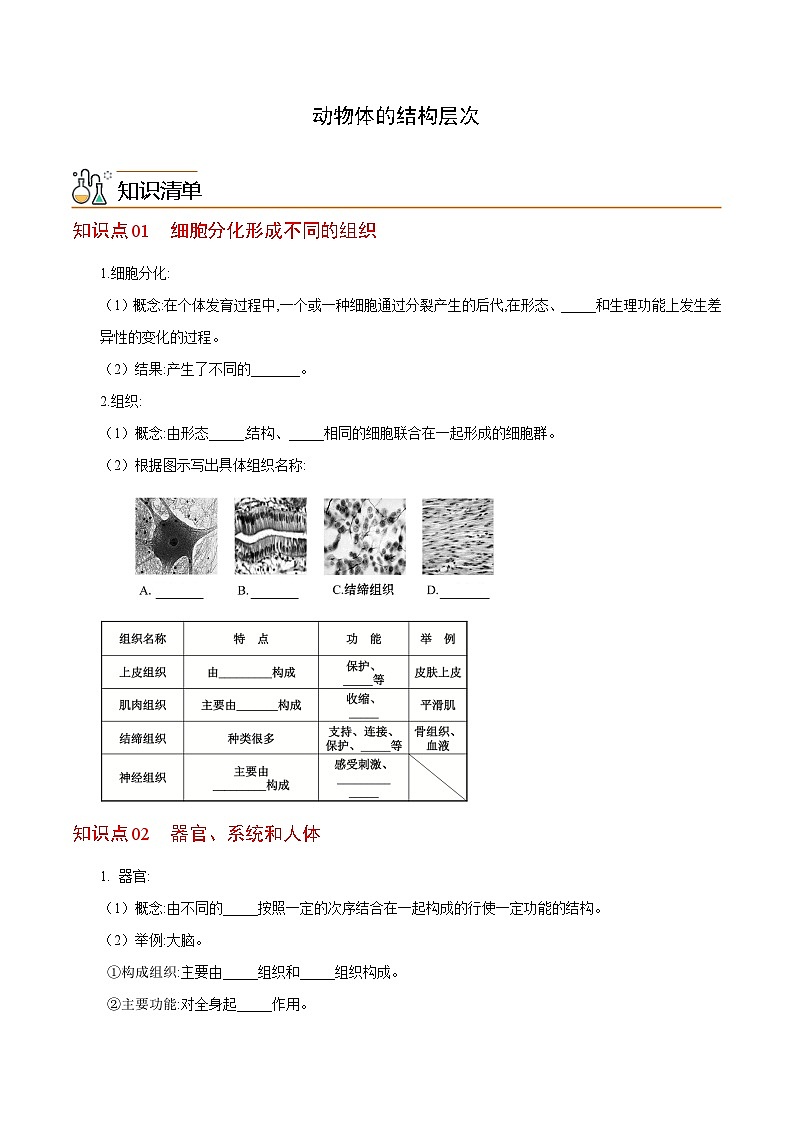 七年级上学期生物考点突然与提分——动物体的结构层次练习题（含答案）第1页