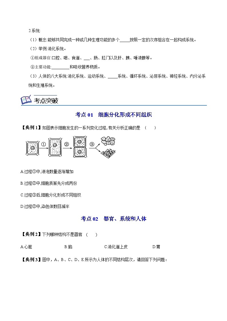 七年级上学期生物考点突然与提分——动物体的结构层次练习题（含答案）第2页