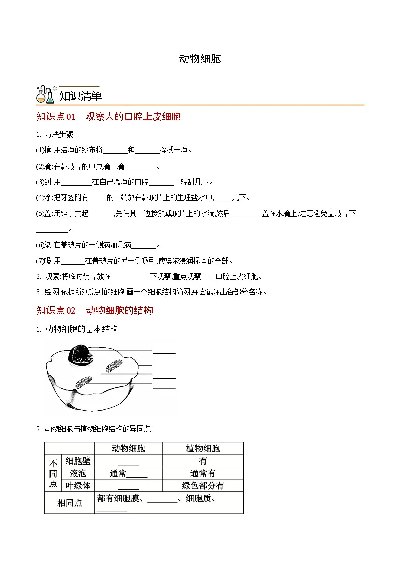 七年级上学期生物考点突然与提分——动物细胞练习题（含答案）第1页