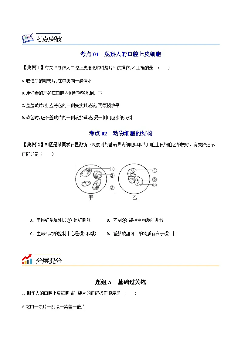 七年级上学期生物考点突然与提分——动物细胞练习题（含答案）第2页
