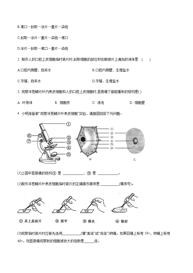 七年级上学期生物考点突然与提分——动物细胞练习题（含答案）第3页