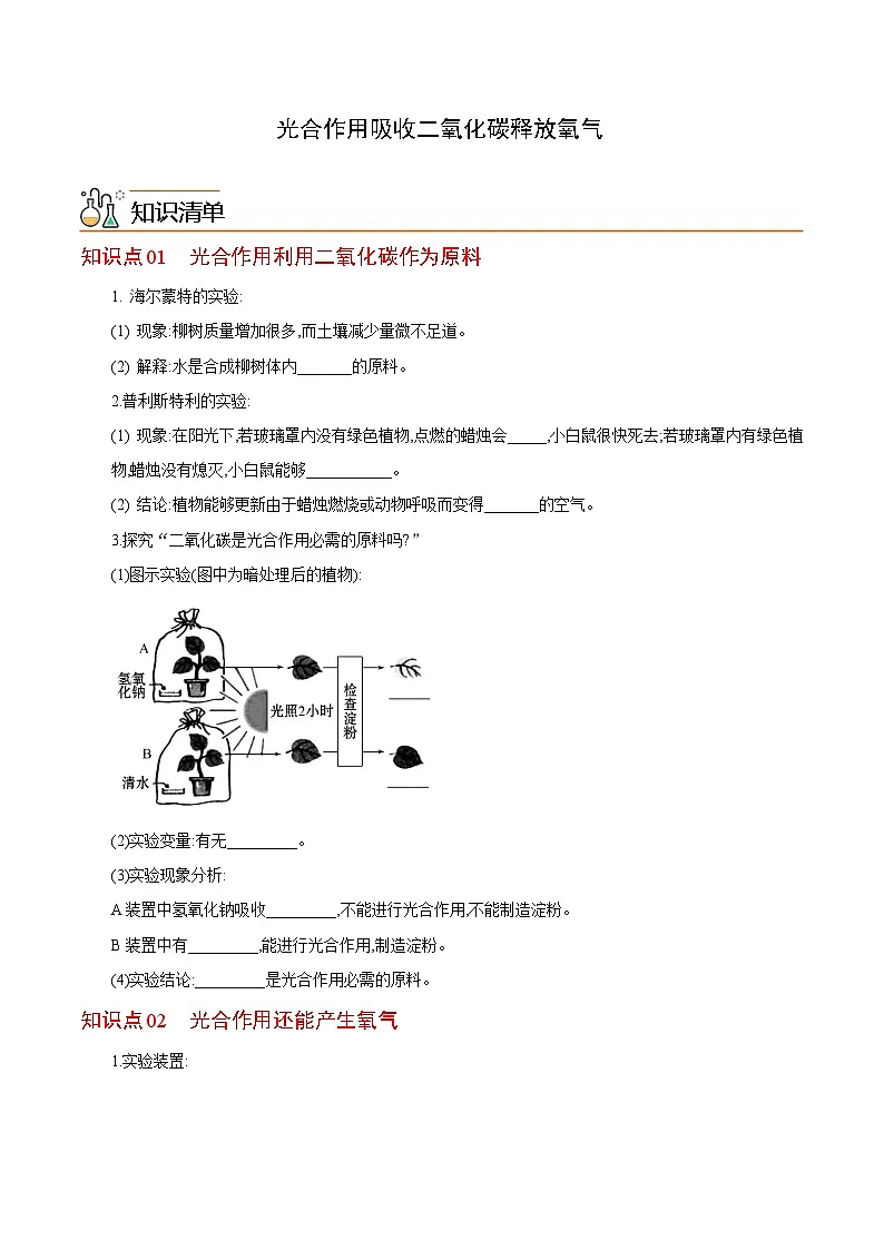 七年级上学期生物考点突然与提分——光合作用吸收二氧化碳释放氧气练习题（含答案）第1页