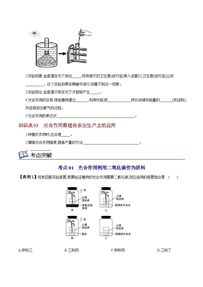 七年级上学期生物考点突然与提分——光合作用吸收二氧化碳释放氧气练习题（含答案）第2页