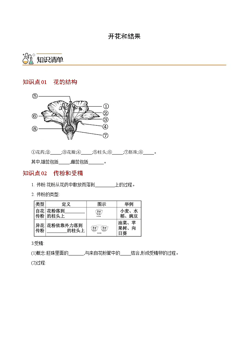 七年级上学期生物考点突然与提分——开花和结果练习题（含答案）第1页