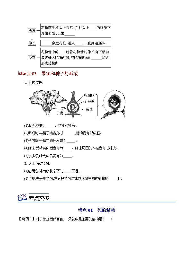 七年级上学期生物考点突然与提分——开花和结果练习题（含答案）第2页