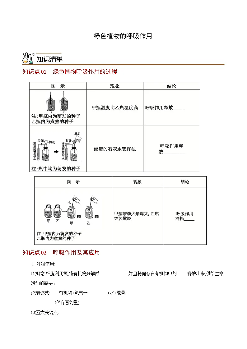 七年级上学期生物考点突然与提分——绿色植物的呼吸作用练习题（含答案）第1页