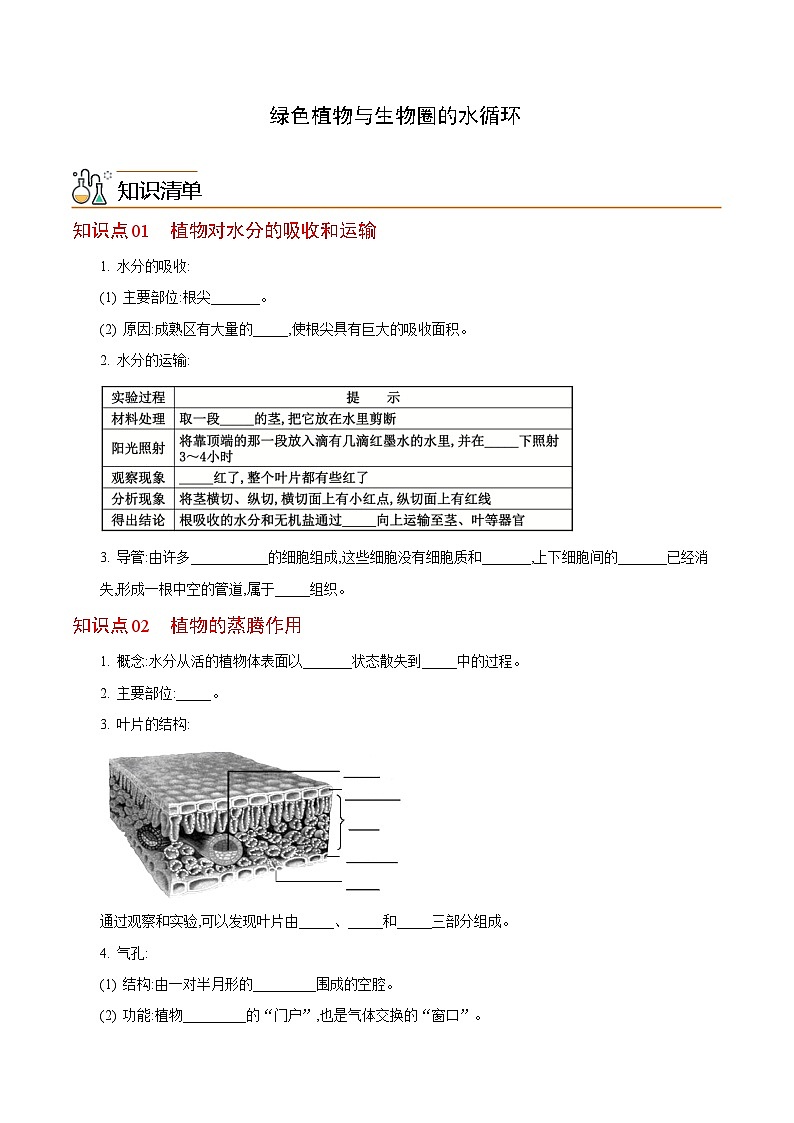 七年级上学期生物考点突然与提分——绿色植物与生物圈的水循环练习题（含答案）第1页